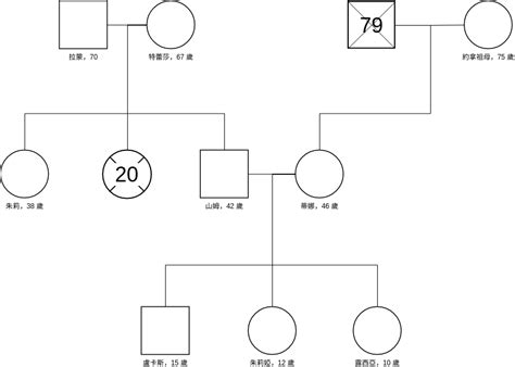 家庭圖關係線|免費可編輯家系圖範例與模板 